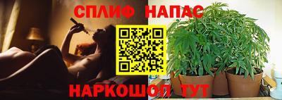 гидра Коломна