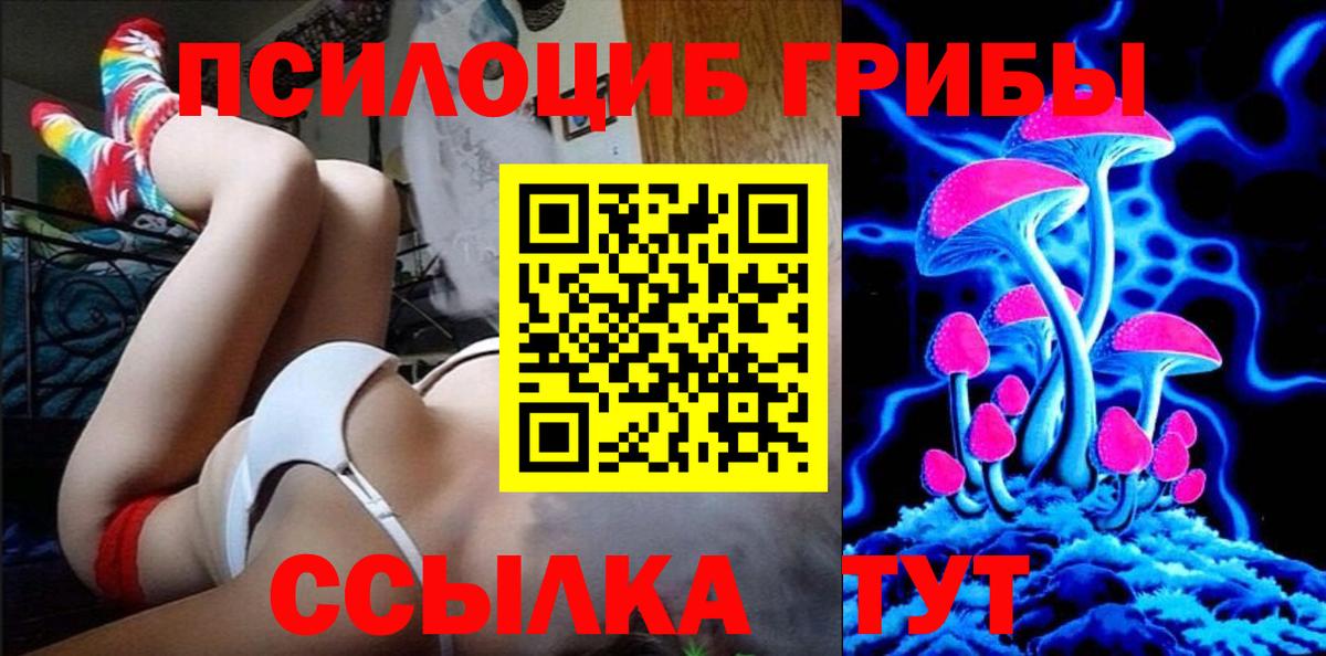 Вязники  Галлюциногенные грибы Magic Shrooms  что такое   Вход с VPN 
