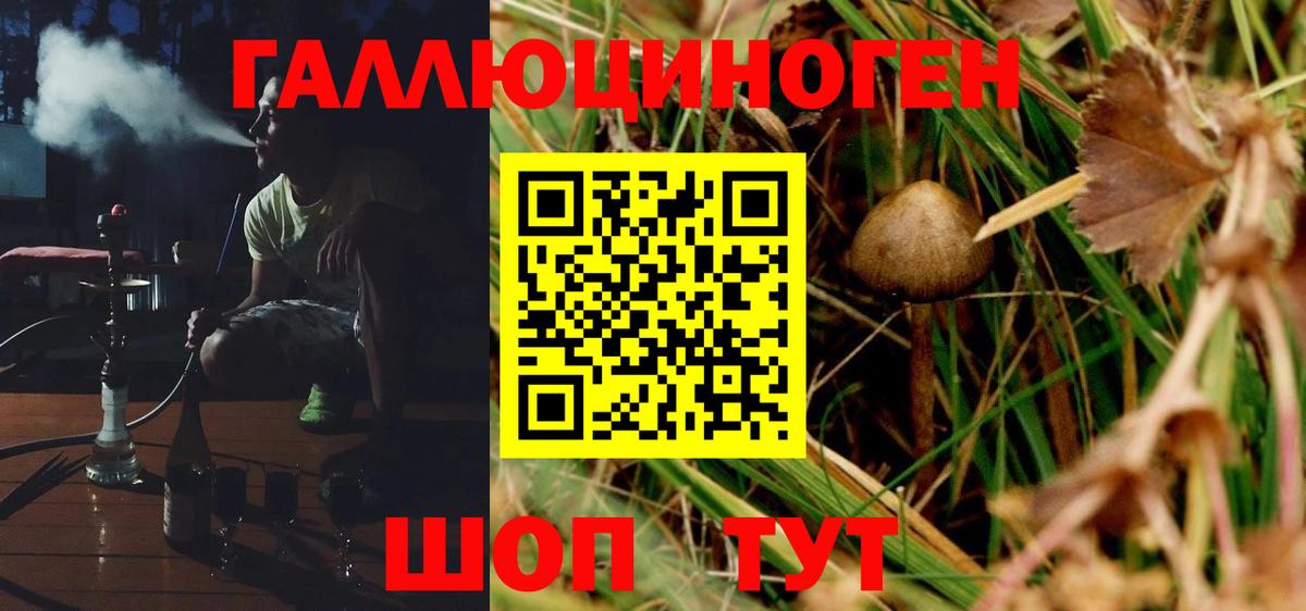 Псилоцибиновые грибы ЛСД Вязники